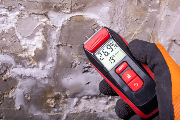Best Attic Mold Removal  in Mason, TN