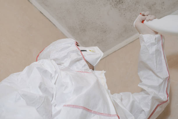 Best Mold Testing  in Mason, TN