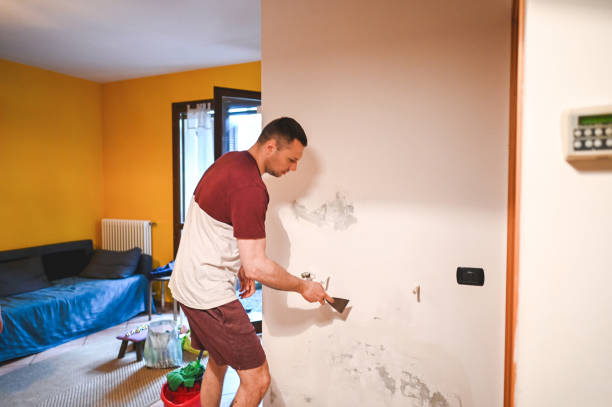 Best Crawl Space Mold Removal  in Mason, TN
